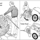 Illustration for article titled The Intrigue of Human-Powered Appliances